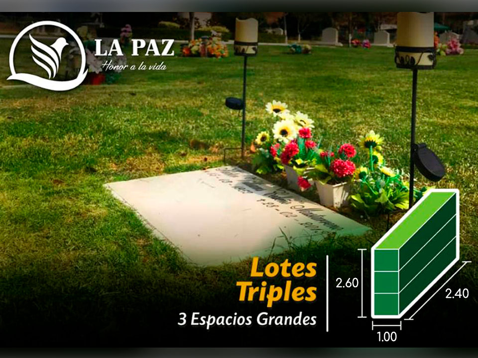Lotes Triples