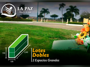 Lotes Dobles